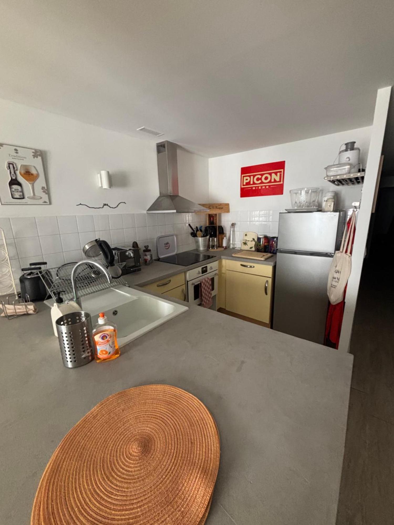 Bel Appartement Centre Ville De Foix Ngoại thất bức ảnh